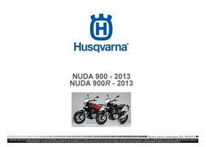 2013 Nuda 900 900r