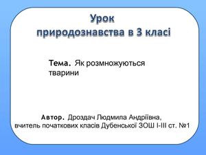 Ріноманітність тварин