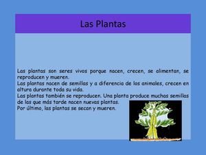 Las Plantas