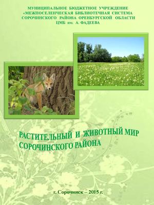 Сорочинский район, Оренбургская область