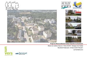 Gumenen AURAY Réunion Publique 2 février 20154