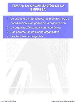 Tema 6 La Organizacion De La Empresa