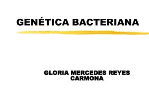 Geneticbac