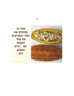 מצגת שוקולד 33