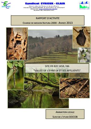 Rapport D'activité 2013