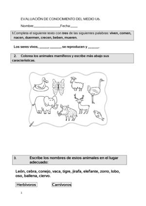 Evaluación De Conocimiento Del Medio U6