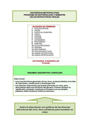 Uda Estructuras Virales 2015