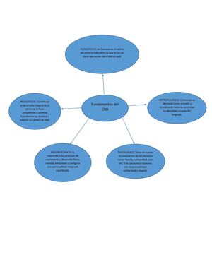 Fundamentos del CNB