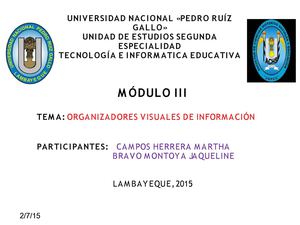 Organizador Visual De Información