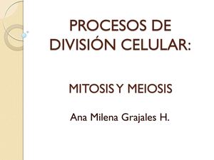 Mitosis Y Meiosis 1