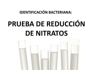 Reduccion Nitratos