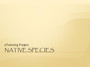 Native Species Ppt