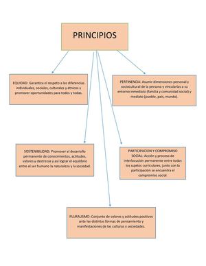Principios Curriculares