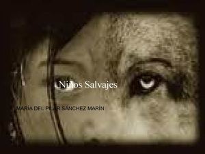 Niños Salvajes