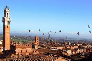 Nuevo Presentación De Microsoft Power Point