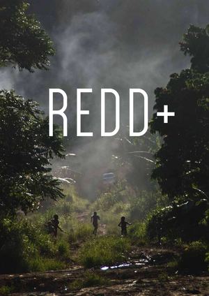 REDD +