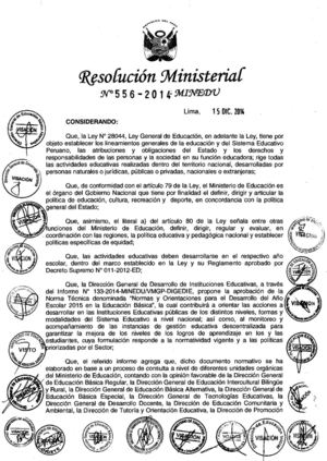 RESOLUCION MINISTERIA N° 556 2014