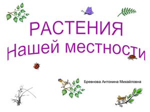 растения Нашей местности
