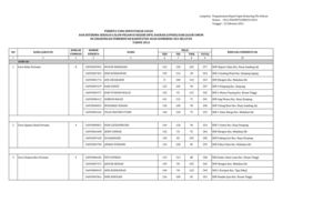 HASIL TES CPNS RESMI DI UMUMKAN KAB. OKU SELATAN