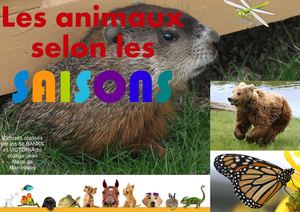 Exposés SVT - Les animaux selon les saisons