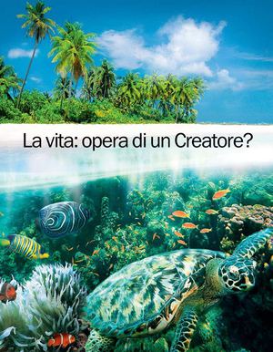 La Vita Opera Di Un Creatore