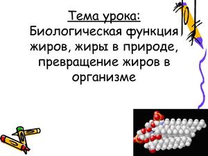 жиры, белки,углеводы