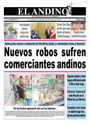 Diario El Andino - 17 De Febrero De 2015
