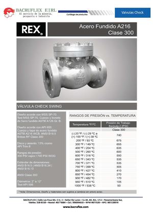 VALVULA CHECK SWING ACERO CARBONO BRIDADA X 300 LBS REX