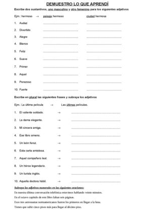 Accidentes Del Adjetivo Este