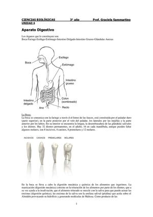 Cuadernillo 4