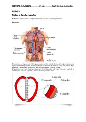 Cuadernillo 5