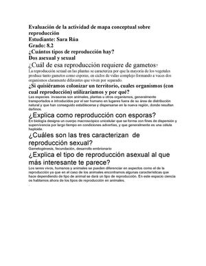 Evaluación Mapa Conceptual Sara Rúa