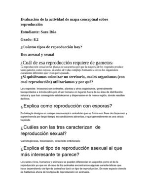 Evaluación Mapa Conceptual