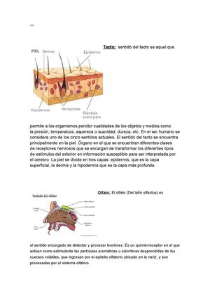 Sentidos: Tacto, olfato y gusto.