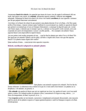 Els éSsers Vius I La Relació