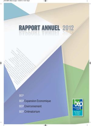 Bep Rapport Annuel 2012