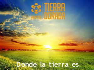 Complejo campestre acuático "Tierra Dorada"