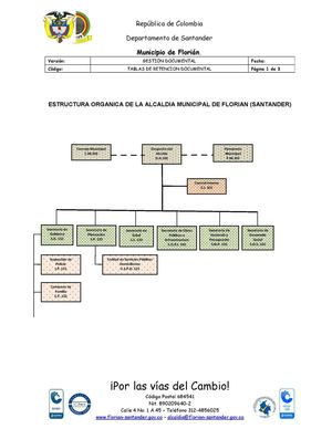Organigrama Estructura