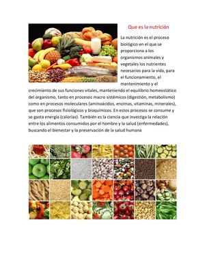 Que Es La Nutrición