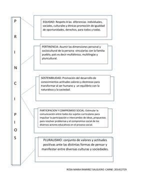 ORGANIZADOR GRAFICO
