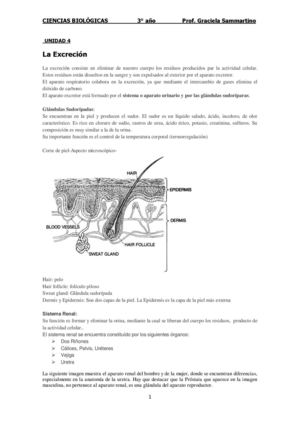 Cuadernillo 6