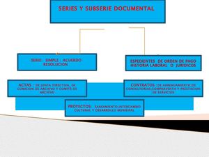 SERIE Y SUBSERIE DOCUMENTAL