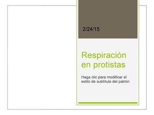 Respiración En Protistas