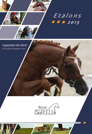 Etalon 2015 Haras De Castille