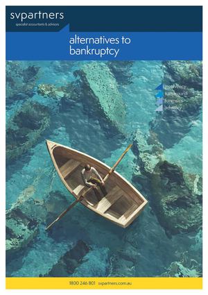 Alternatives To Bankruptcy Handbook
