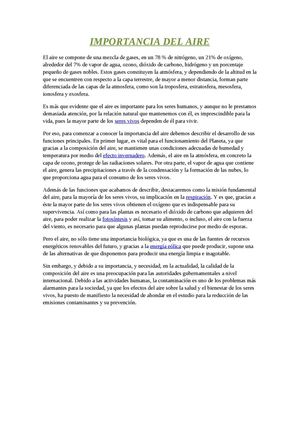 Importancia Del Aire