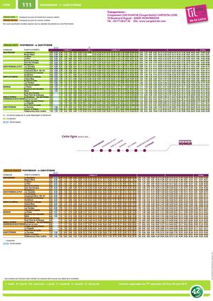 Ligne Til 111 montbrison saint etienne
