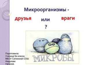 Микроорганизмы друзья или враги