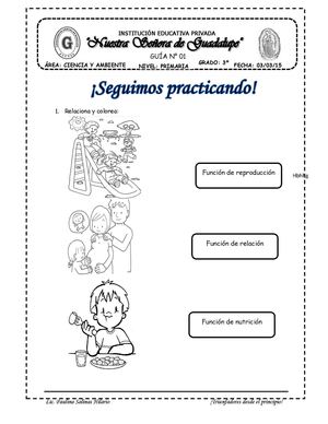 Guia 01 Funciones Vitales