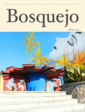 Bosquejo Febrero 2015